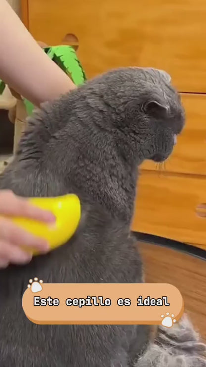 CEPILLO A VAPOR PARA MASCOTA 3 EN 1